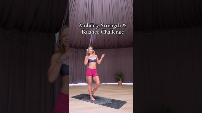 Mobility, Strength &#038; Balance Challenge