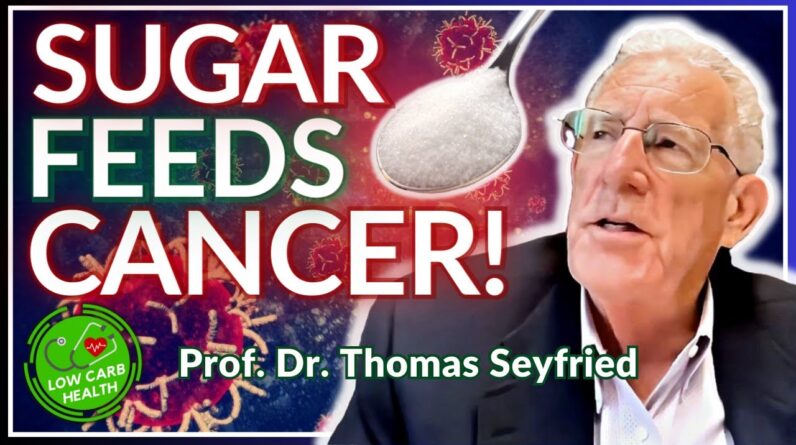 025: How KETO DIET Works in CANCER! – Prof. Dr. THOMAS SEYFRIED (Full Interview)